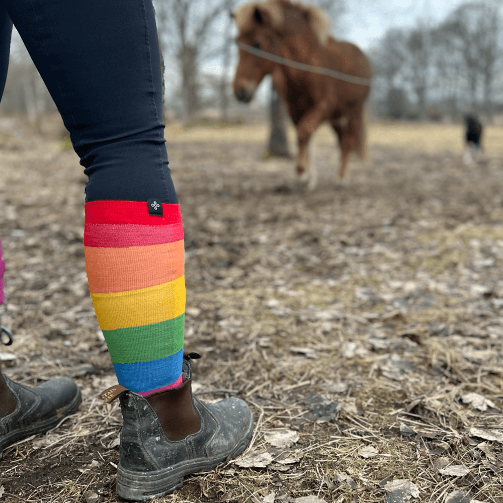 Ridstrumpa Pride Merinoull