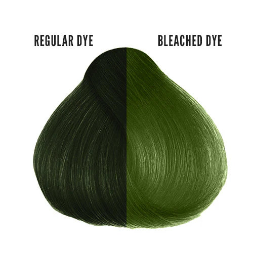 Jorge Moss Green Direct Hair Color